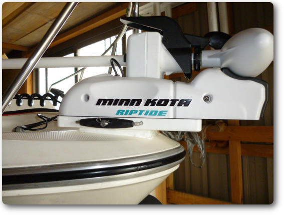 画像の説明 画像の説明