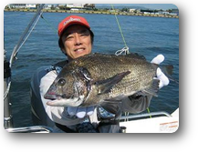 画像の説明 画像の説明